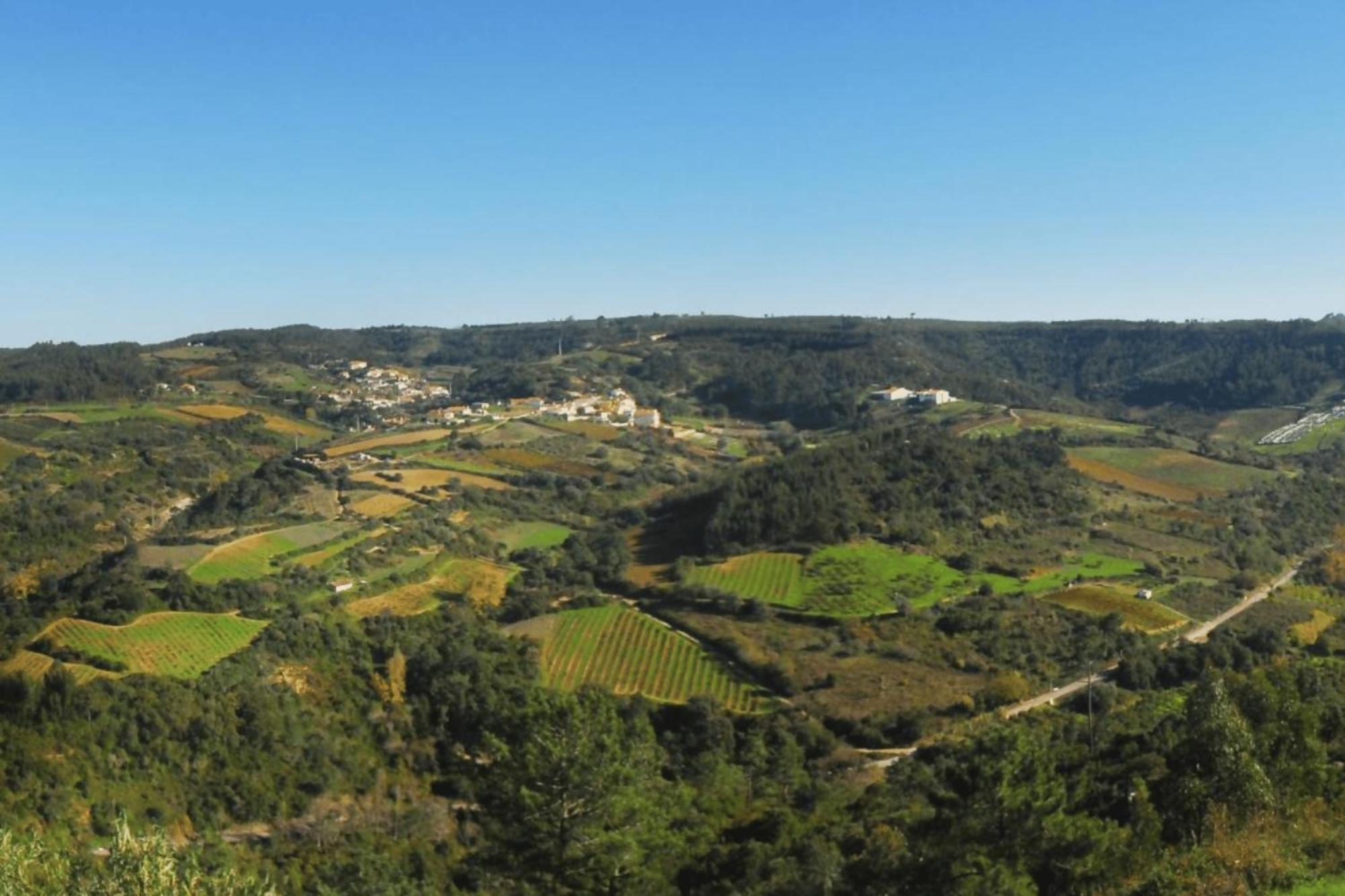 Casas Da Tia Alice - Casas De Campo Encantadoras Em Mafra Exterior photo